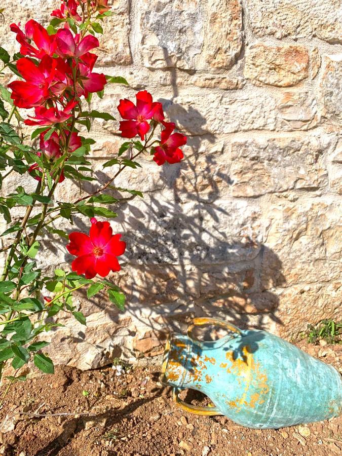 Trullo Aprìco B&B Alberobello Ngoại thất bức ảnh